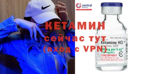 дживик Ельня