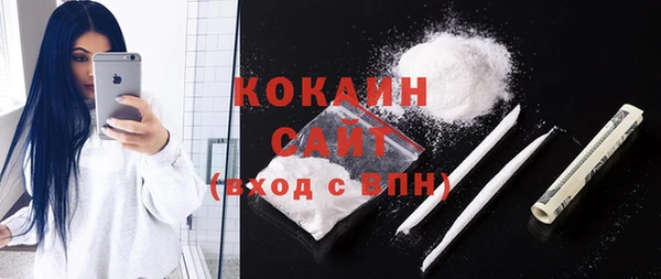 дживик Ельня