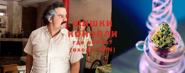 спиды Дмитриев