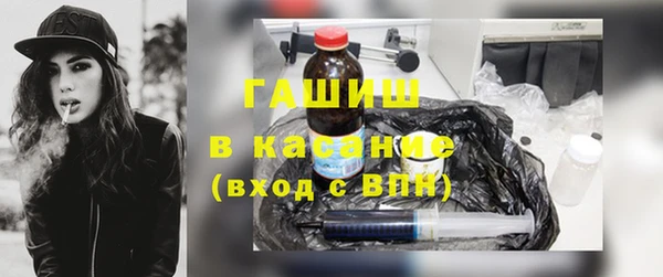 дживик Ельня