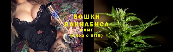 спиды Дмитриев
