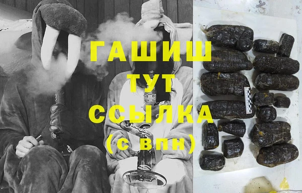 дживик Ельня