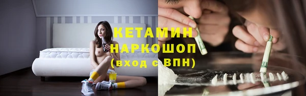СК Дмитров