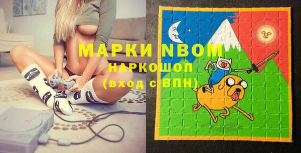 дживик Ельня