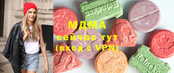 дживик Ельня
