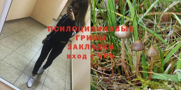 СК Дмитров