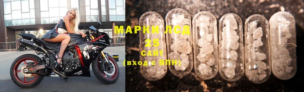 дживик Ельня