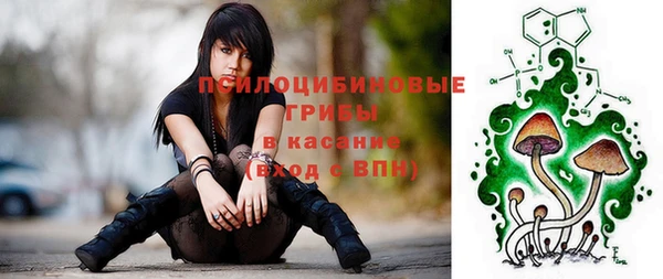 спиды Дмитриев