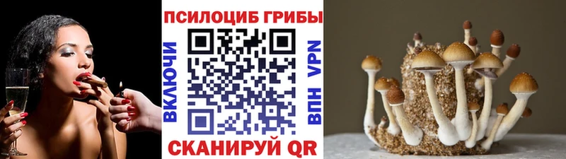 Галлюциногенные грибы GOLDEN TEACHER  Элиста 