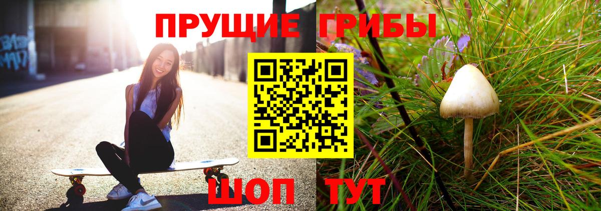Элиста  Псилоцибиновые грибы Psilocybe  закладка  Вход с VPN 
